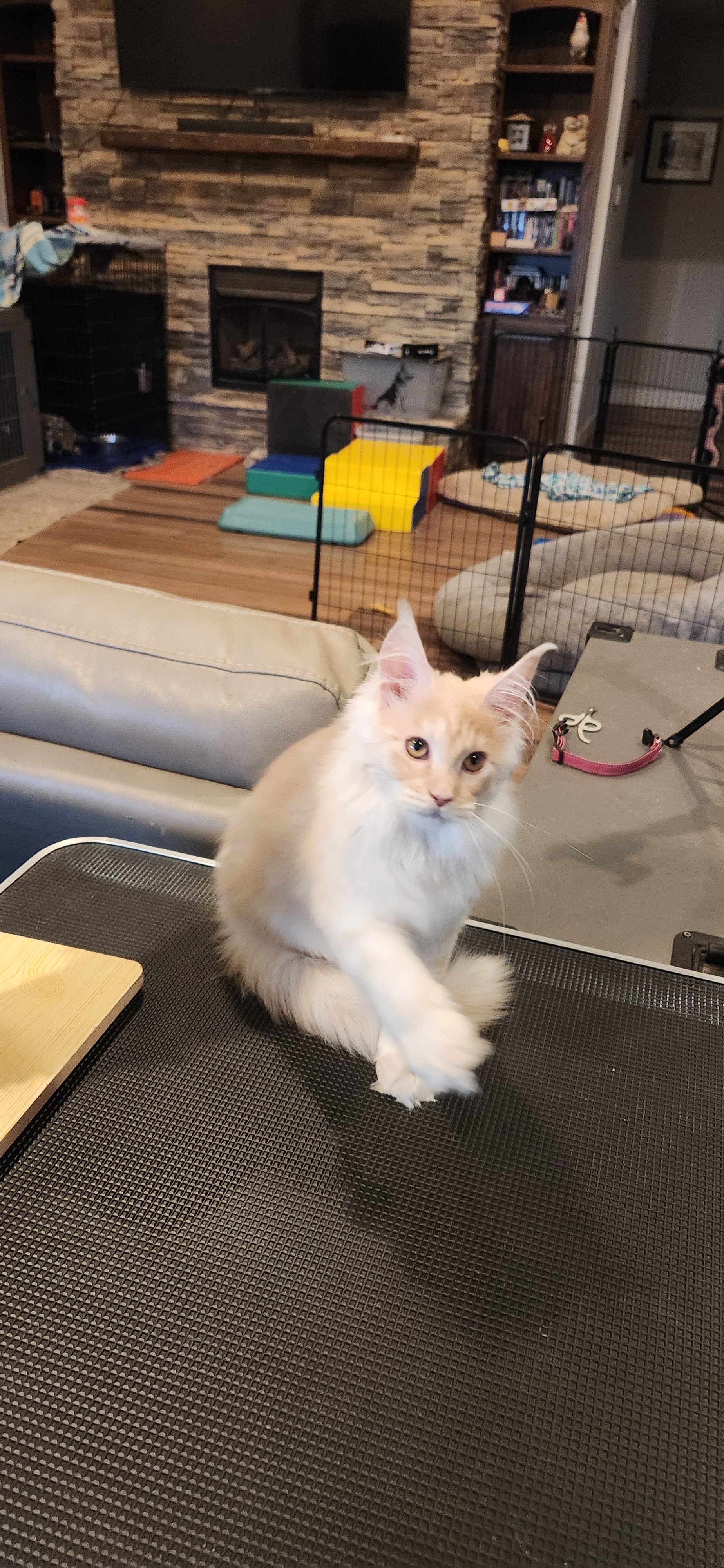 Fiona