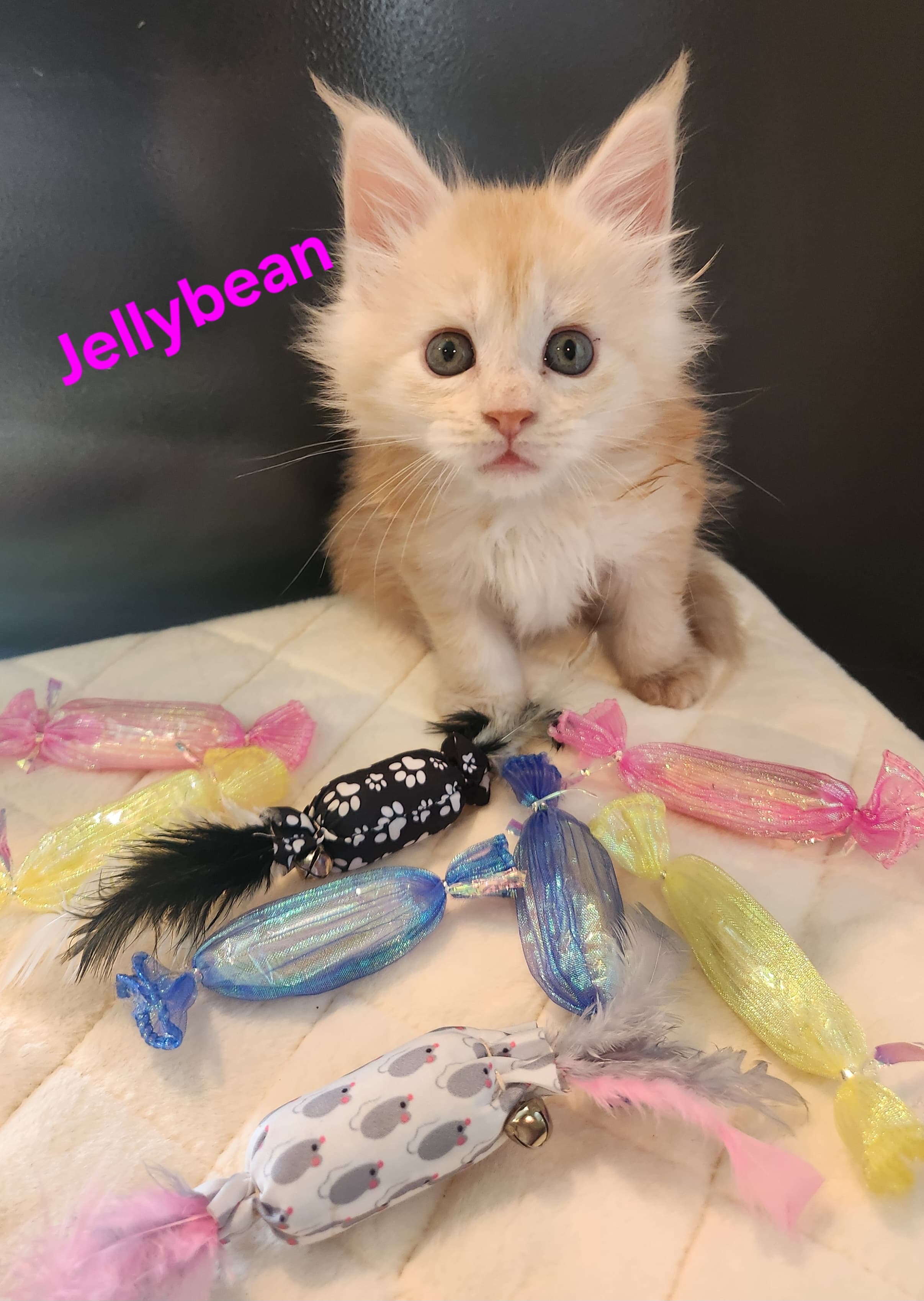 Jellybean