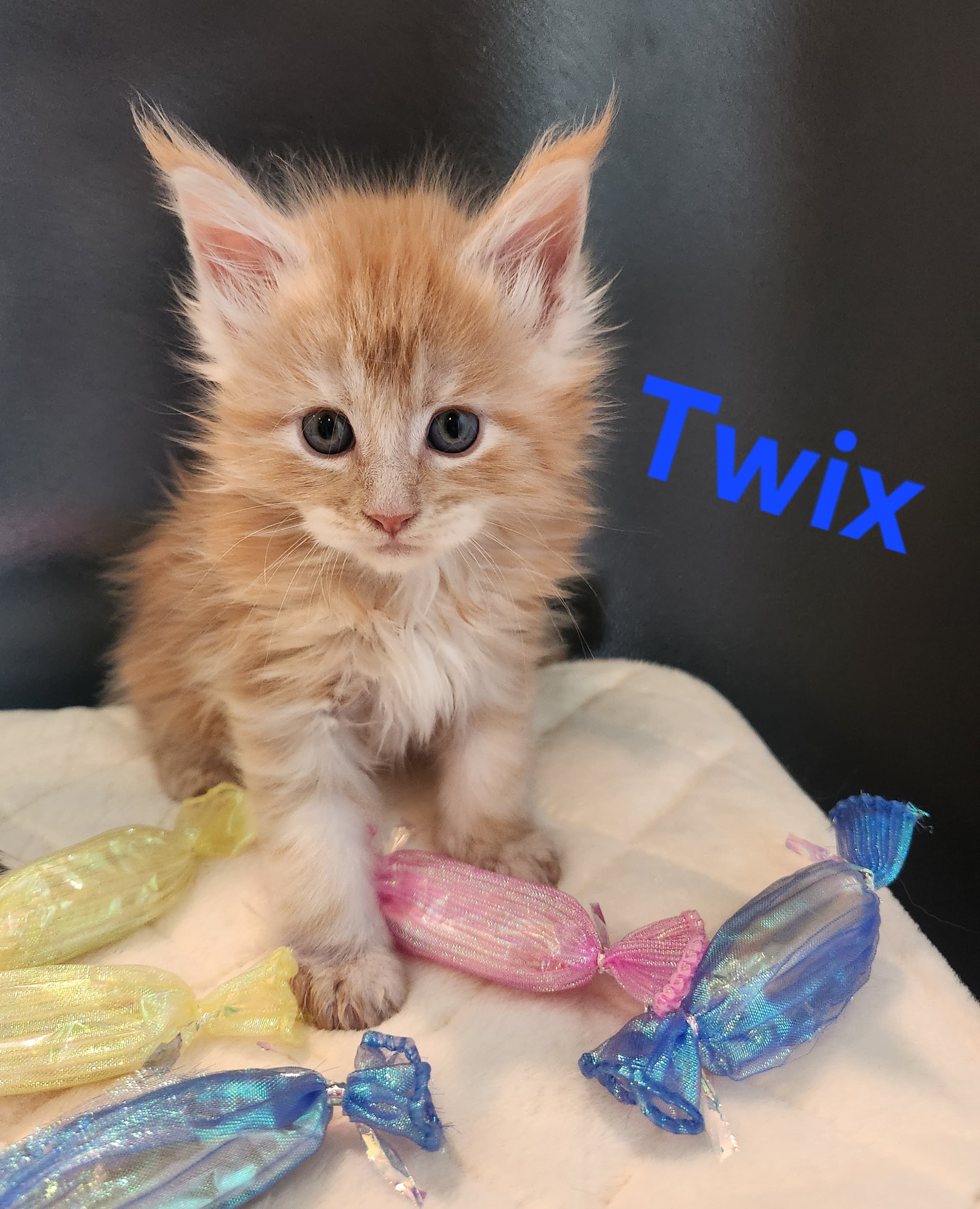 Twix